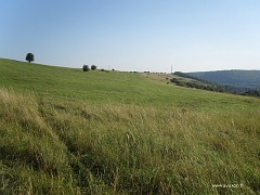 La pelouse calcaire d'Algrange descendant en pente douce vers la vallée